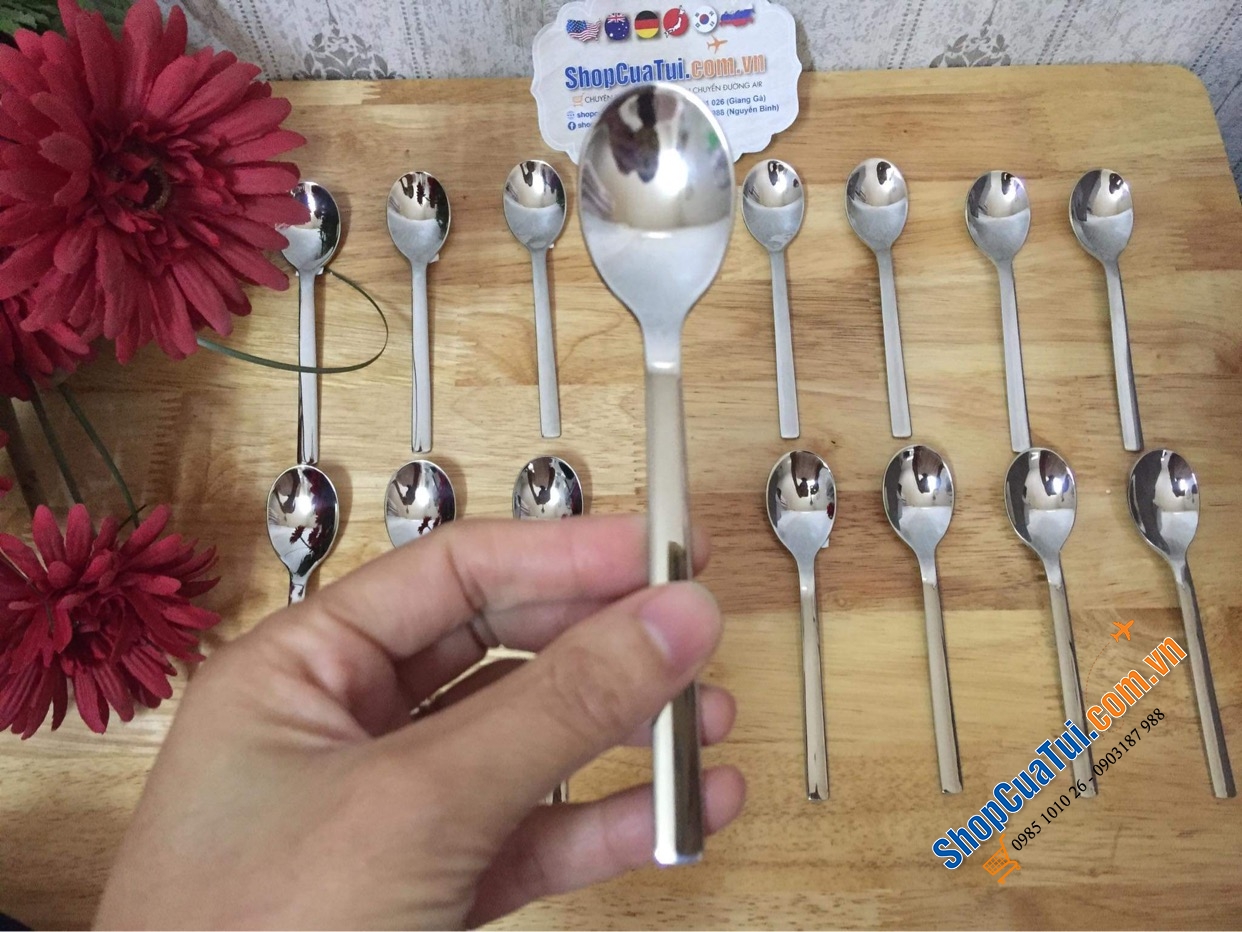 SÉT 6 THÌA CÀ PHÊ/ ĂN SÚP hoặc DĨA ĂN HOA QUẢ, BÁNH NGỌT WMF NOUVA