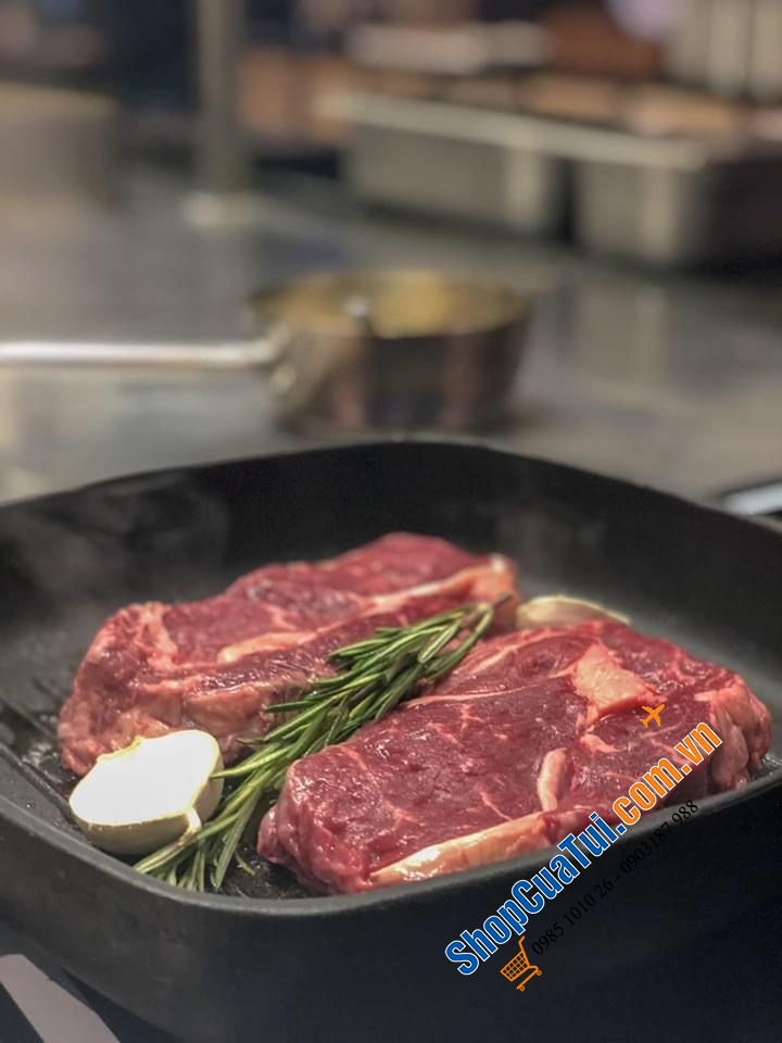 CHẢO GANG NƯỚNG FONTIGNAC BY ZWILLING.