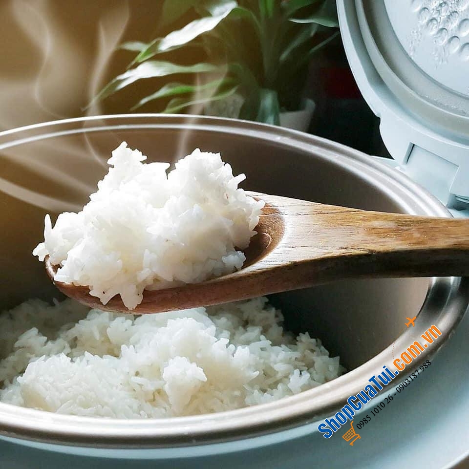 NỒI CƠM ĐIỆN GASTROBACK DUNG TÍCH 3L