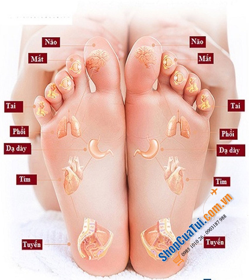 BỒN NGÂM CHÂN MEDISANA MODEL MỚI NĂM 2021 - Bồn Ngân Chân Medisan FS 888 Premium Foot Spa