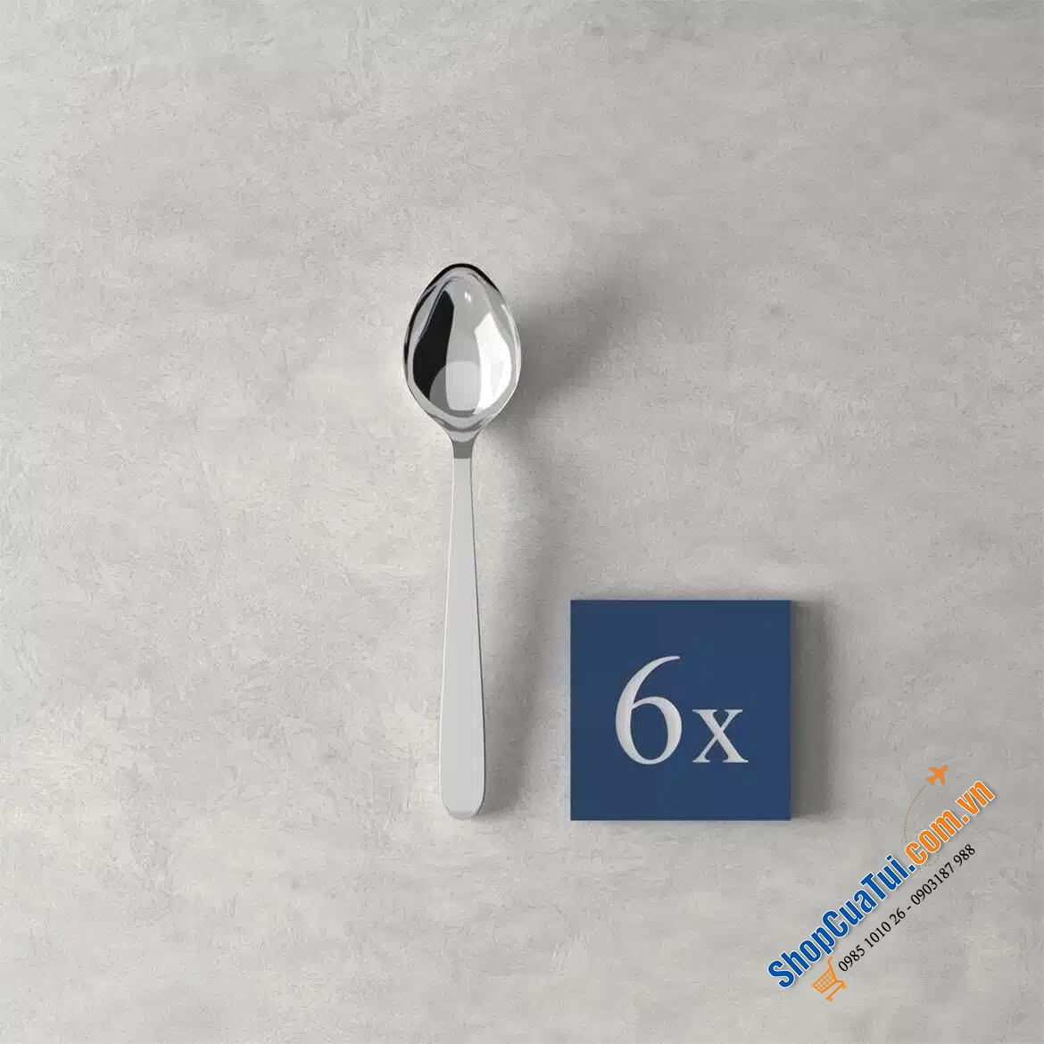 Sét 6 thìa cafe Villeroy & Boch Daily Line Collection.