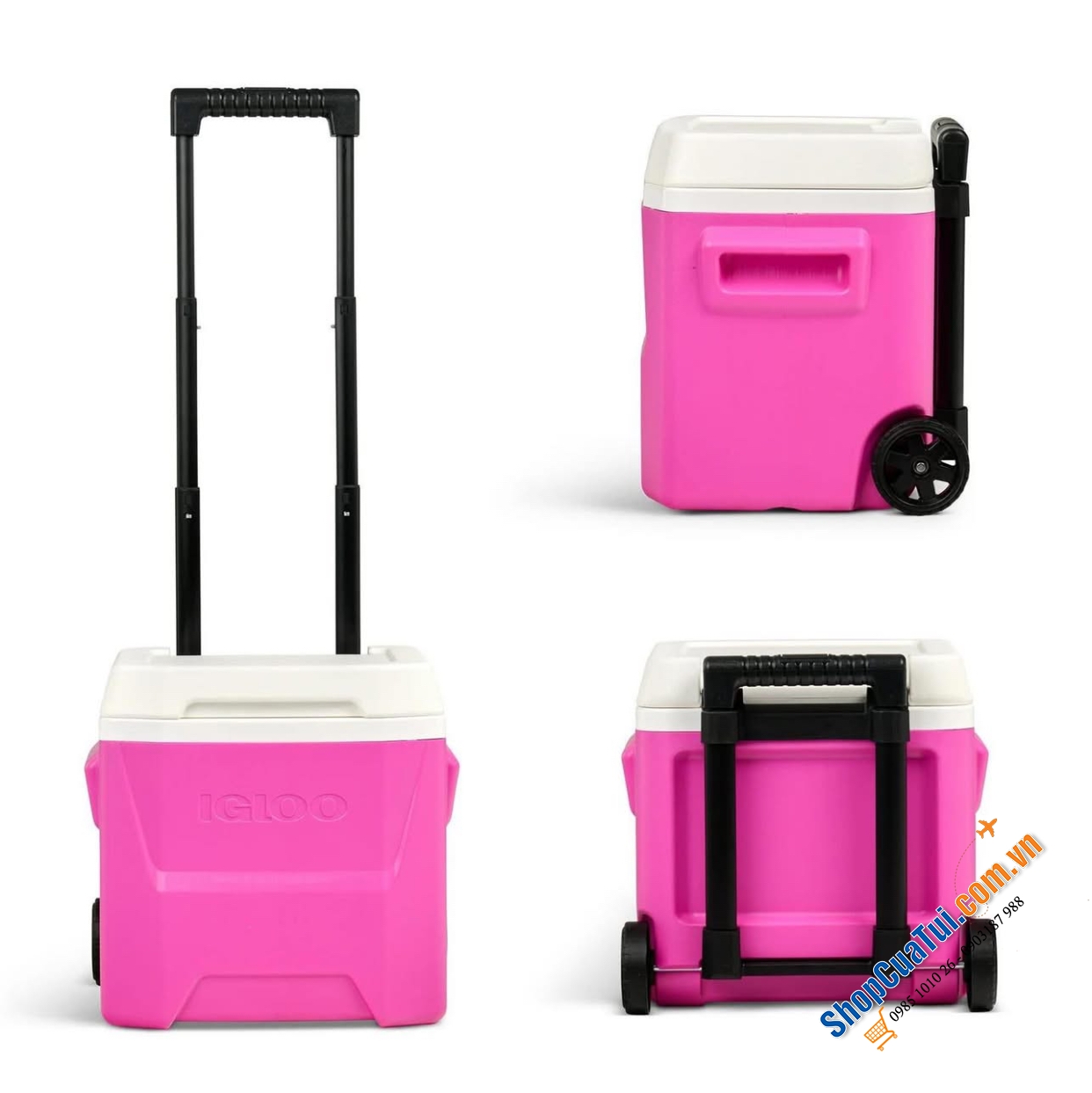 Hộp giữ lạnh có bánh xe Igloo Laguna 15L - Made in USA.