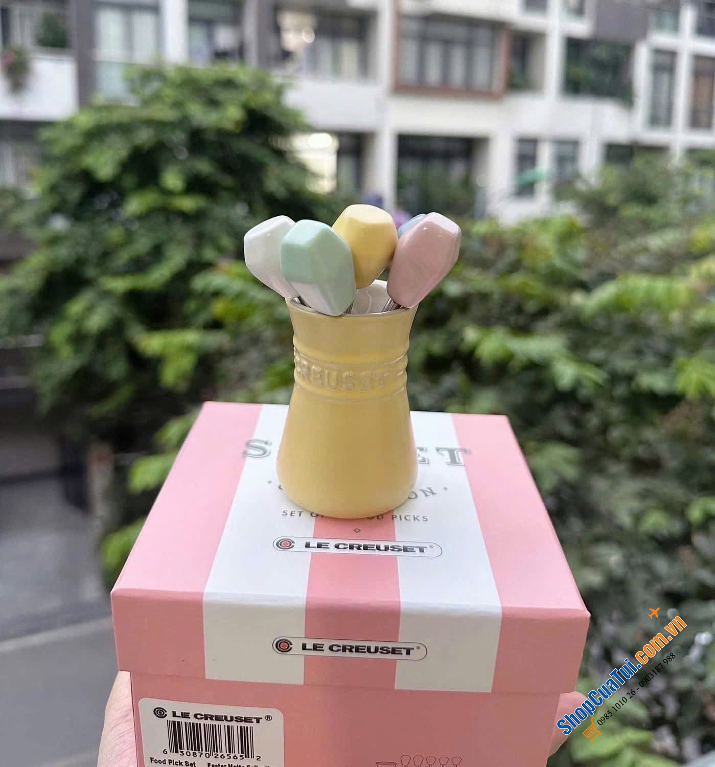 Sét 5 dĩa hoa quả kèm hũ đựng Le Creuset (Food Pick set) - MÀU VÀNG MIMOSA VÀ XANH PASTEL.