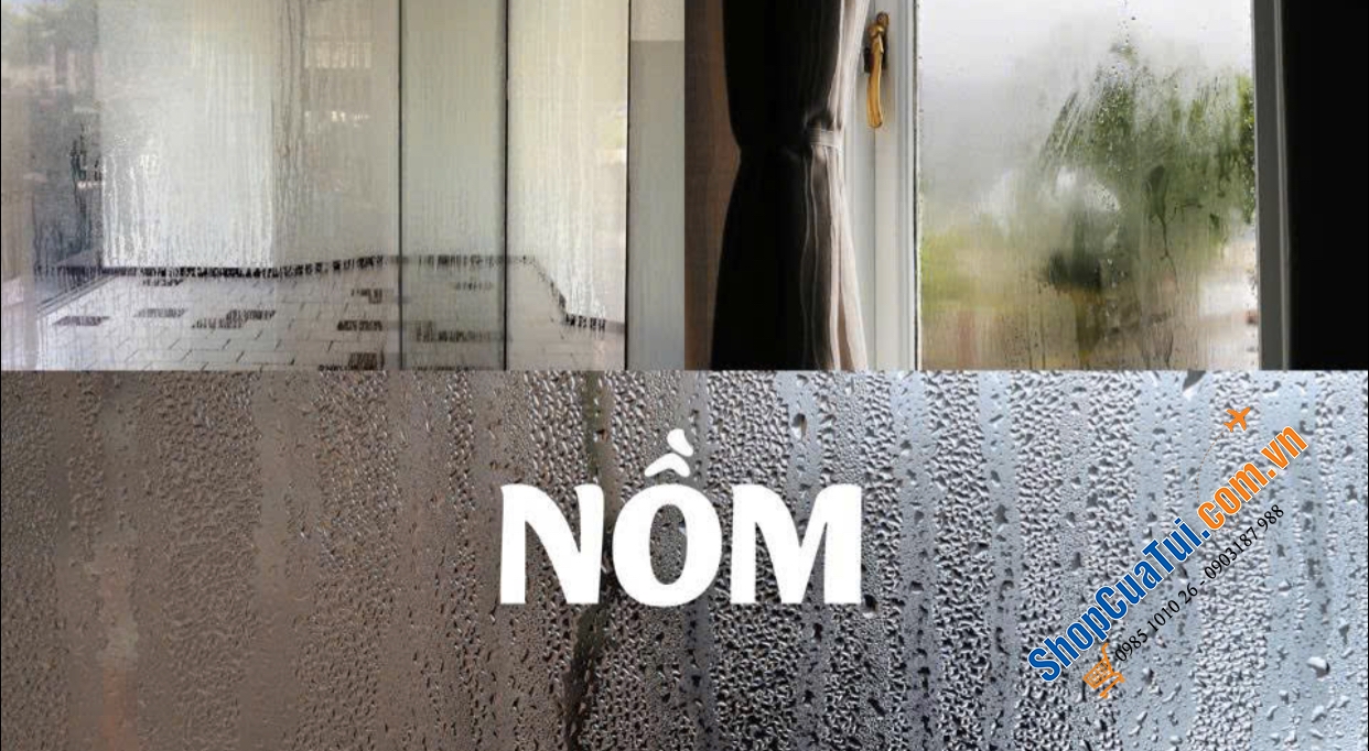 HÚT ẨM STADLER FORM LUKAS 20L cho phòng 70m2.