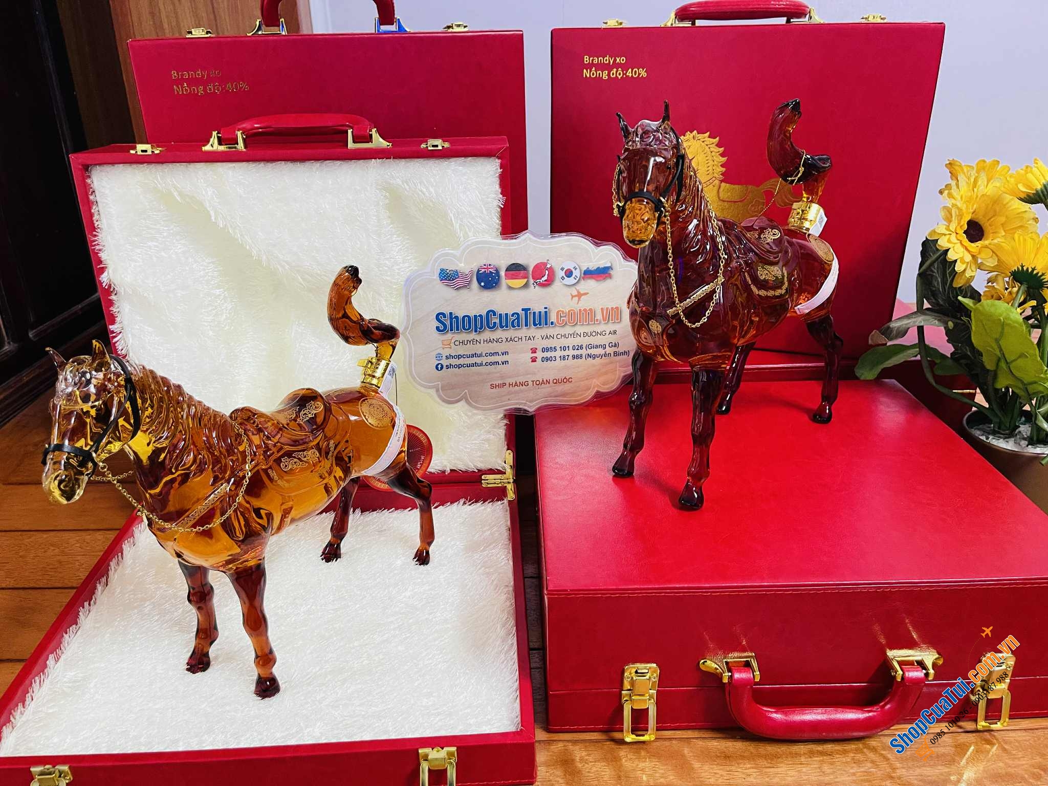 RƯỢU NGỰA PHONG THUỶ 1 LÍT - mã đáo thành công – sức mạnh, tốc độ và danh vọng, quà tết Giáp Ngọ 2026 tài lộc, thăng tiến (mẫu hộp nỉ)