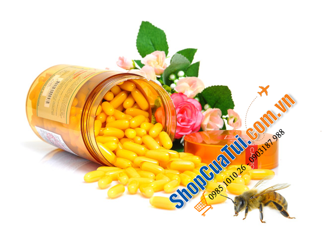 Sữa Ong Chúa Úc Healthy Care Royal Jelly 1000 365 Capsules - Chống suy nhược, giảm mỡ máu, giảm stress, mất ngủ, biếng ăn,...và công dụng làm đẹp