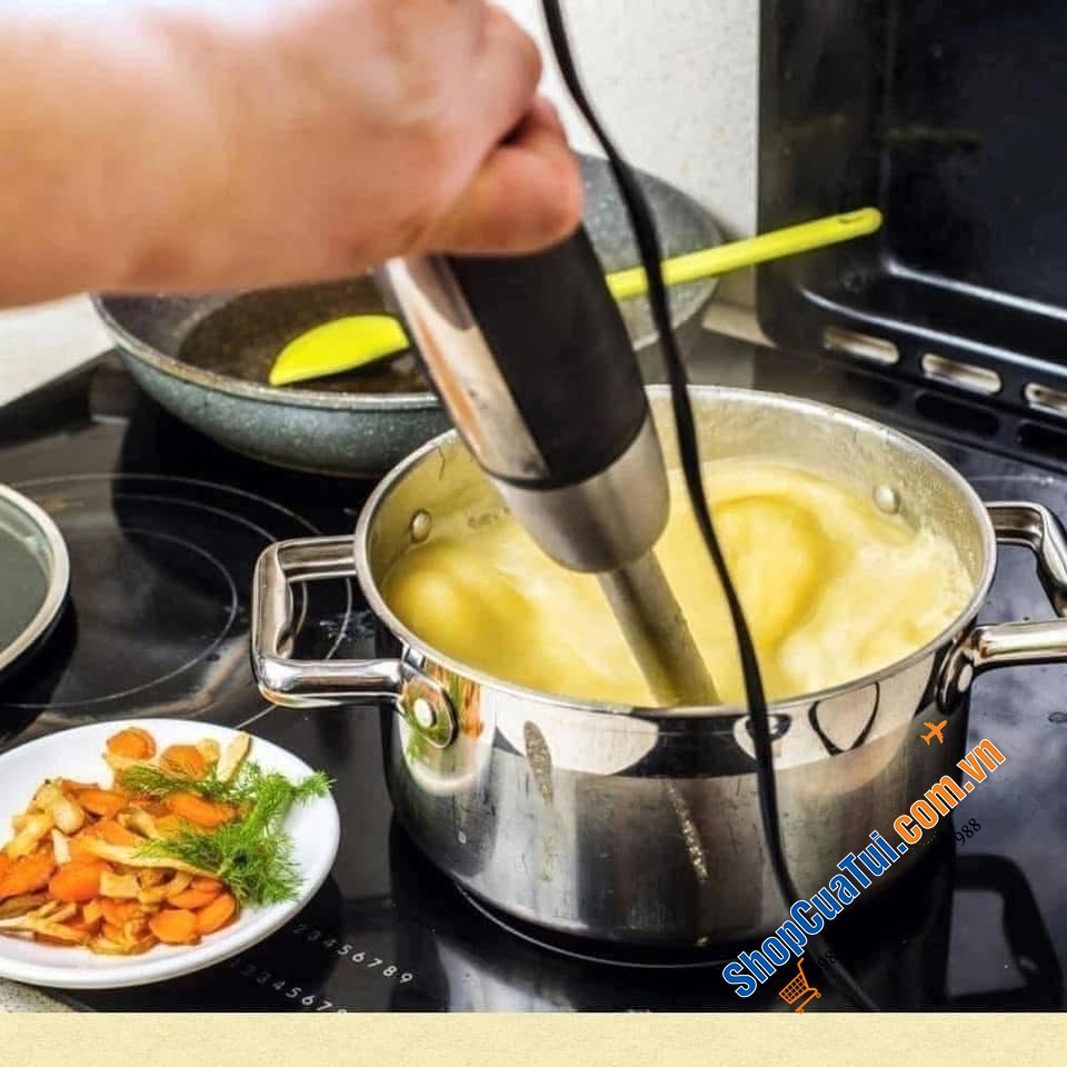 Máy xay cầm tay đơn WMF Kult X.