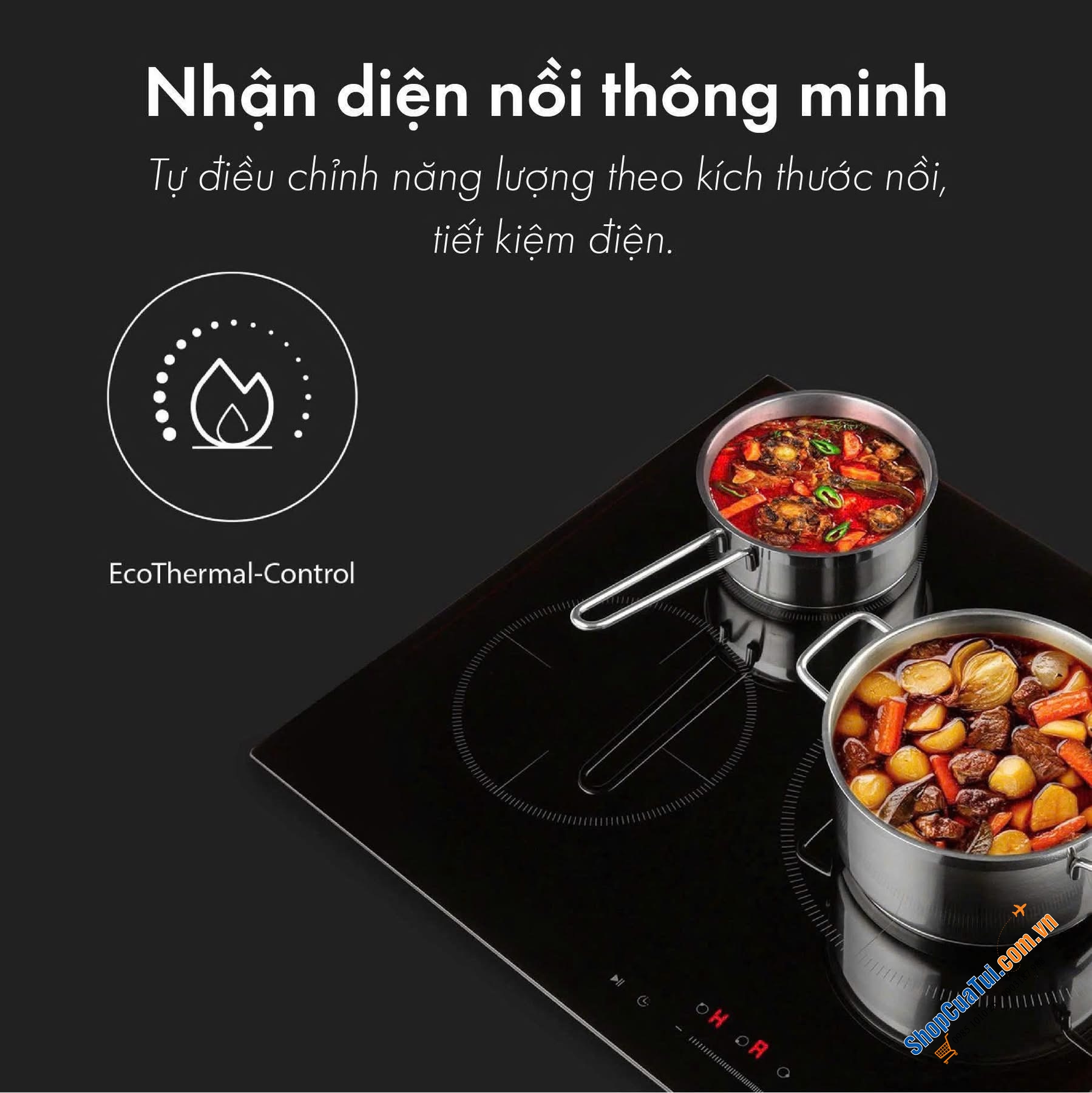 Bếp từ KLARSTEIN DELICATESSA 3 VÙNG NẤU.