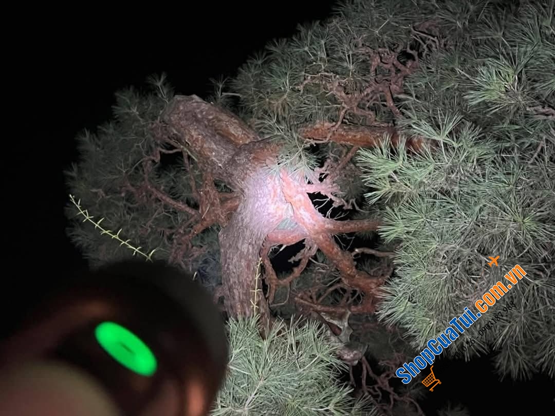 Đèn Pin đa năng Philips COB.