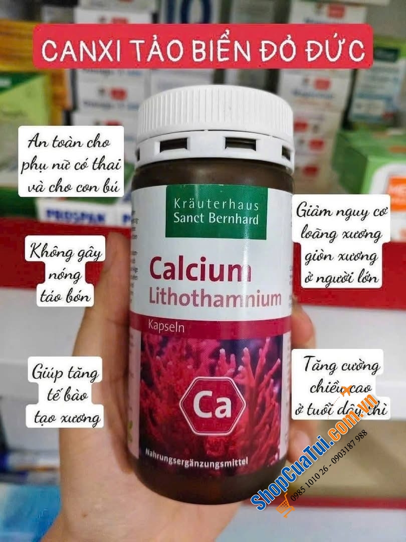 CANXI TẢO BIỂN ĐỎ LITHOTHAMNIUM – \\\"CHÌA KHÓA VÀNG\\\" CHO HỆ XƯƠNG KHỚP CẢ GIA ĐÌNH.