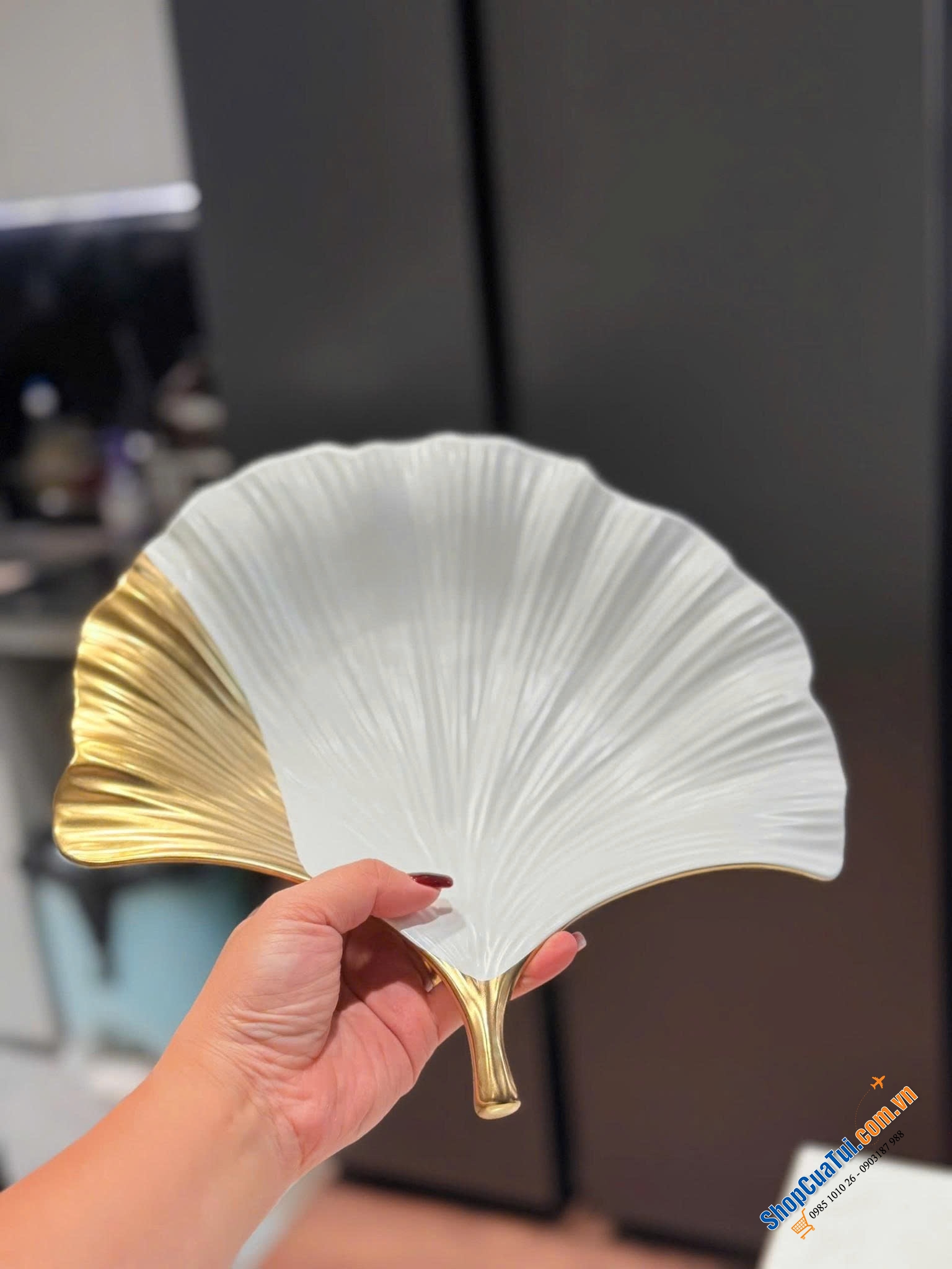 Đĩa Kare Ginkgo.