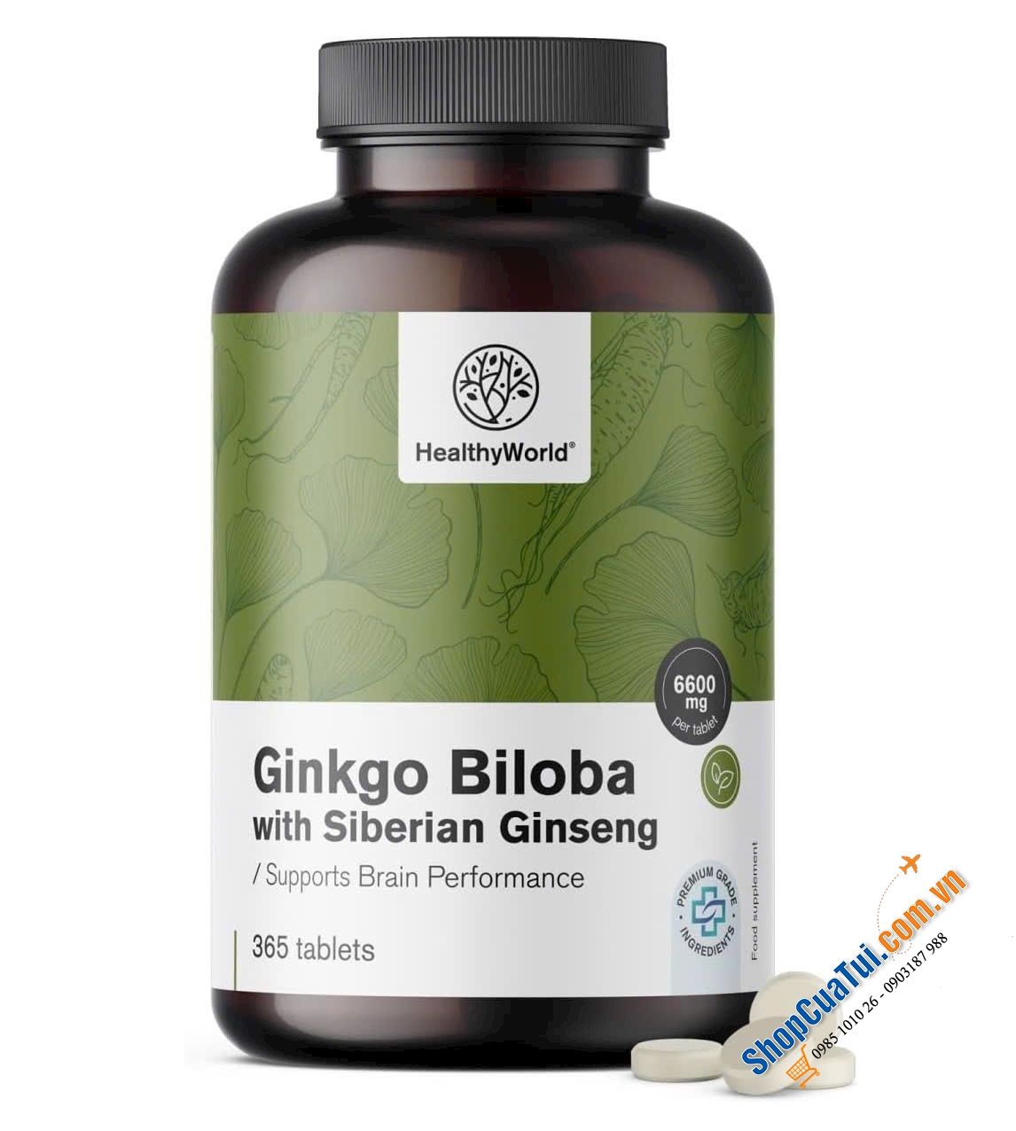 BỔ NÃO GINKGO BILOBA HEALTHYWORLD.