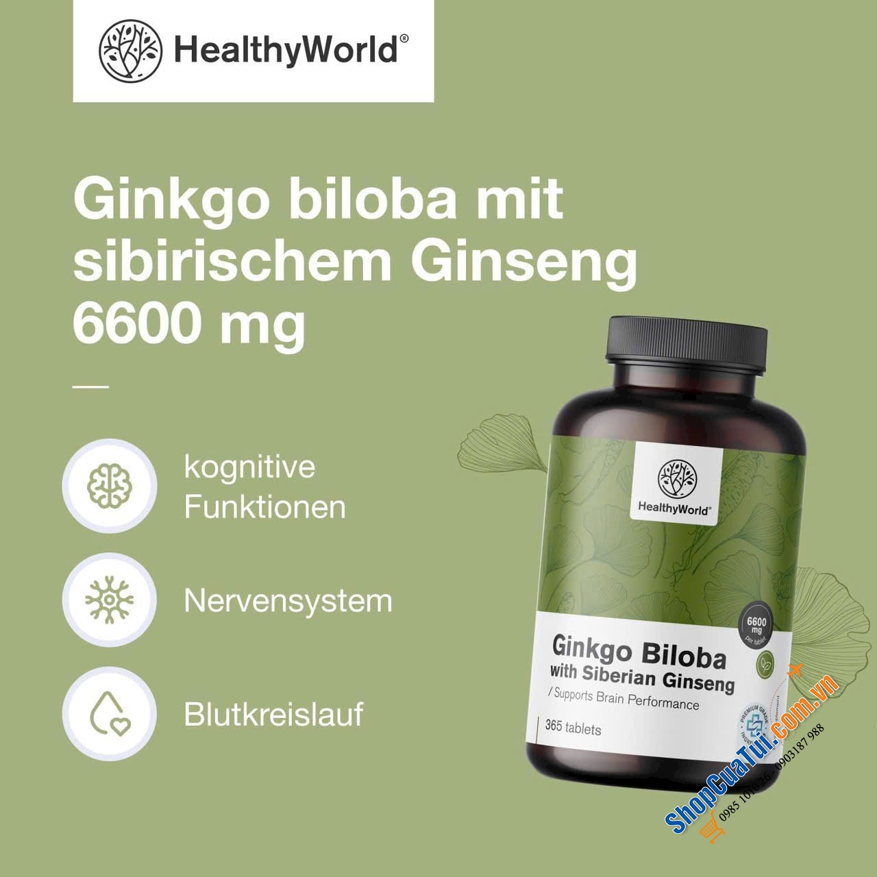 BỔ NÃO GINKGO BILOBA HEALTHYWORLD.