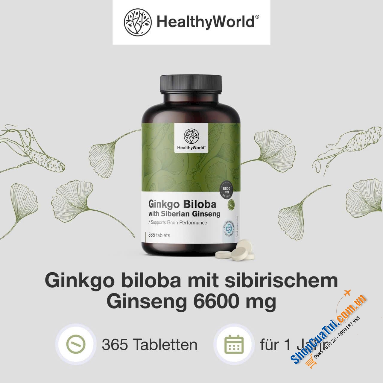 BỔ NÃO GINKGO BILOBA HEALTHYWORLD.