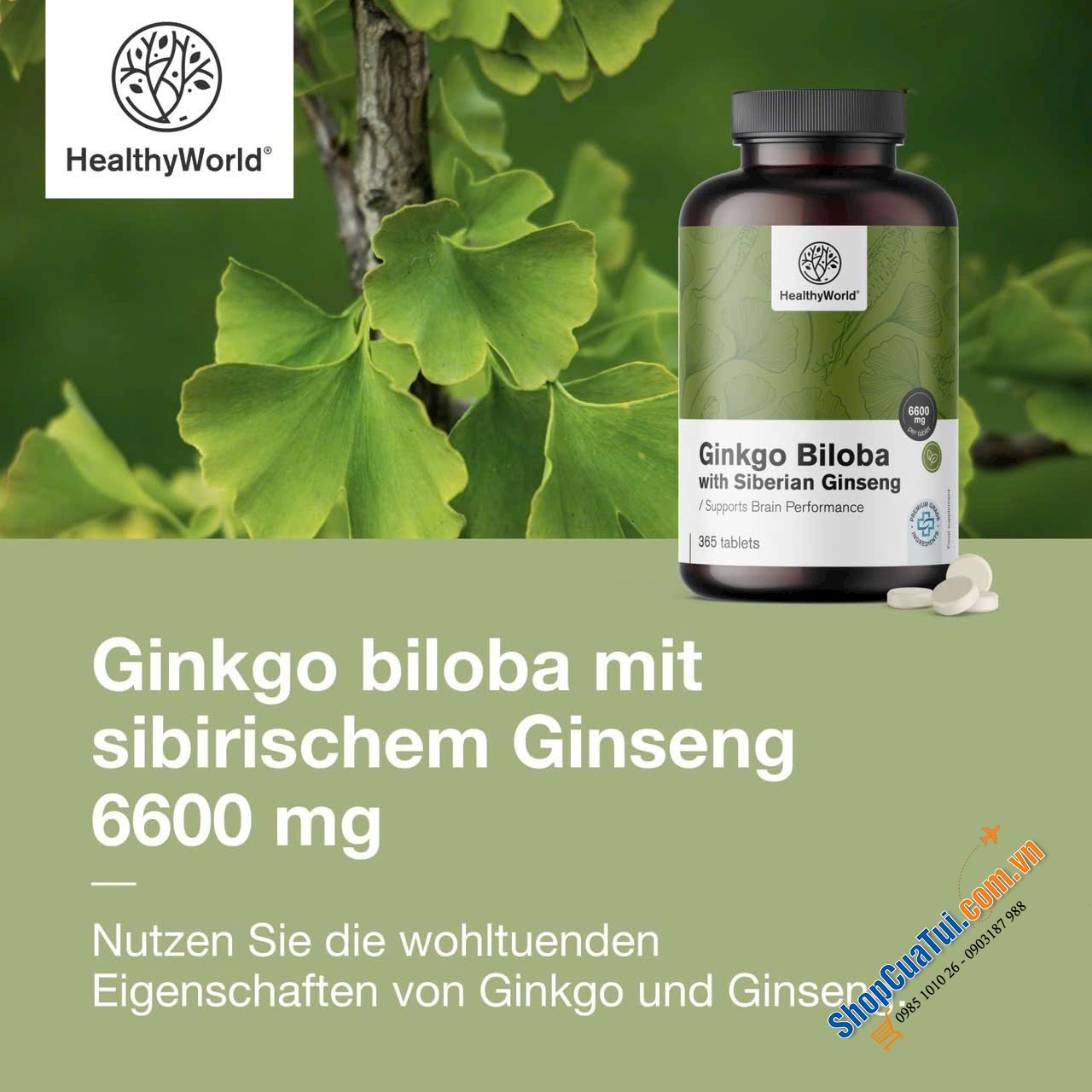 BỔ NÃO GINKGO BILOBA HEALTHYWORLD.