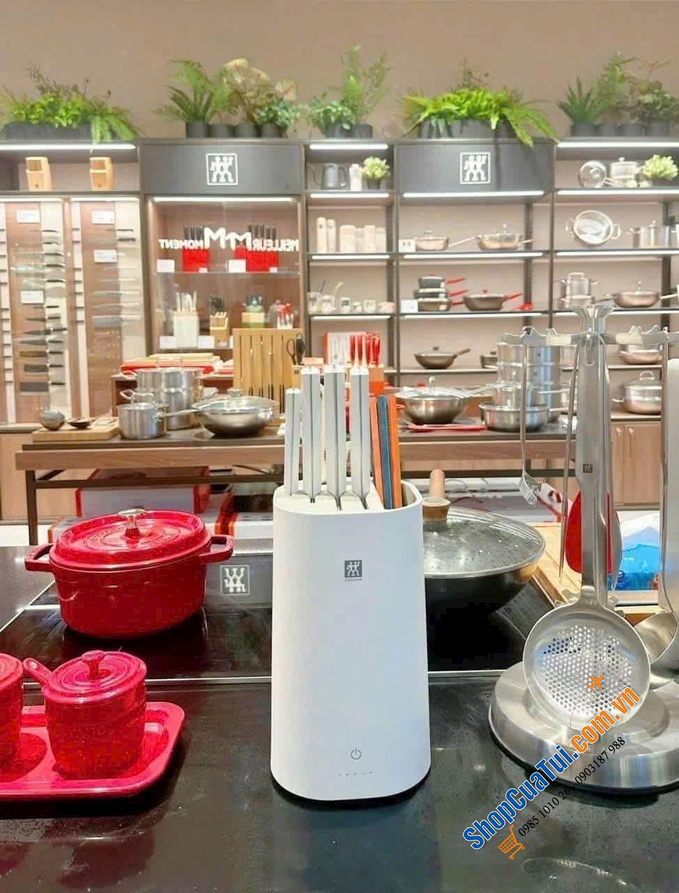 Bộ dao 6 món Zwilling Twin-Pollux kèm hộp tiệt trùng (màu trắng).