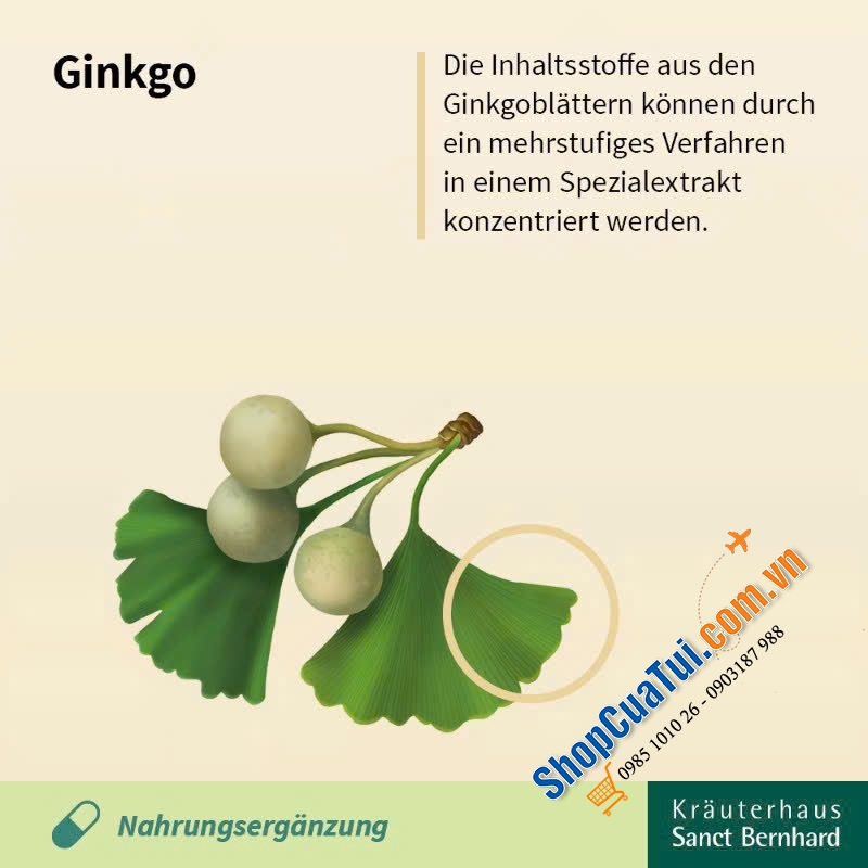 VIÊN BỔ NÃO GINKGO 75MG SANCT BERNHARD - lọ 240 viên.
