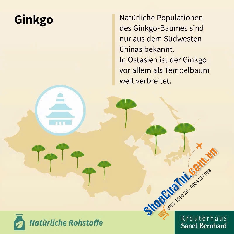 VIÊN BỔ NÃO GINKGO 75MG SANCT BERNHARD - lọ 240 viên.