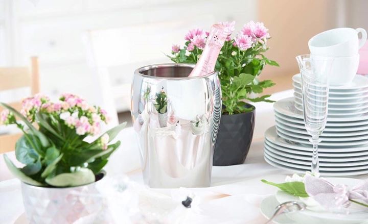 Bình giữ lạnh cho rượu vang hay champagne WMF Tavola,