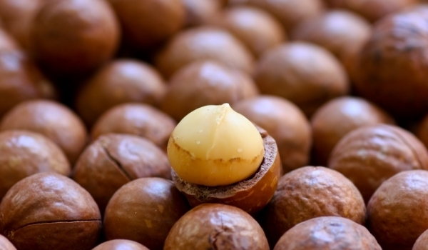 Hạt mắc ca - Macadamia Nuts - 100gr