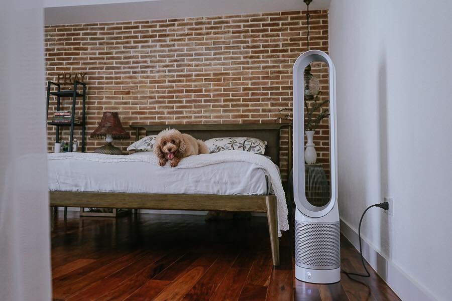QUẠT LỌC KHÔNG KHÍ DYSON PURE COOL LINK TOWER