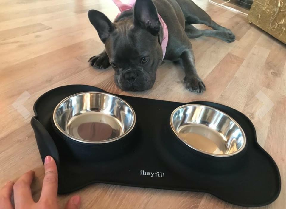 SET BÁT ĐỰNG ĐỒ ĂN CHO THÚ CƯNG Iheyfill