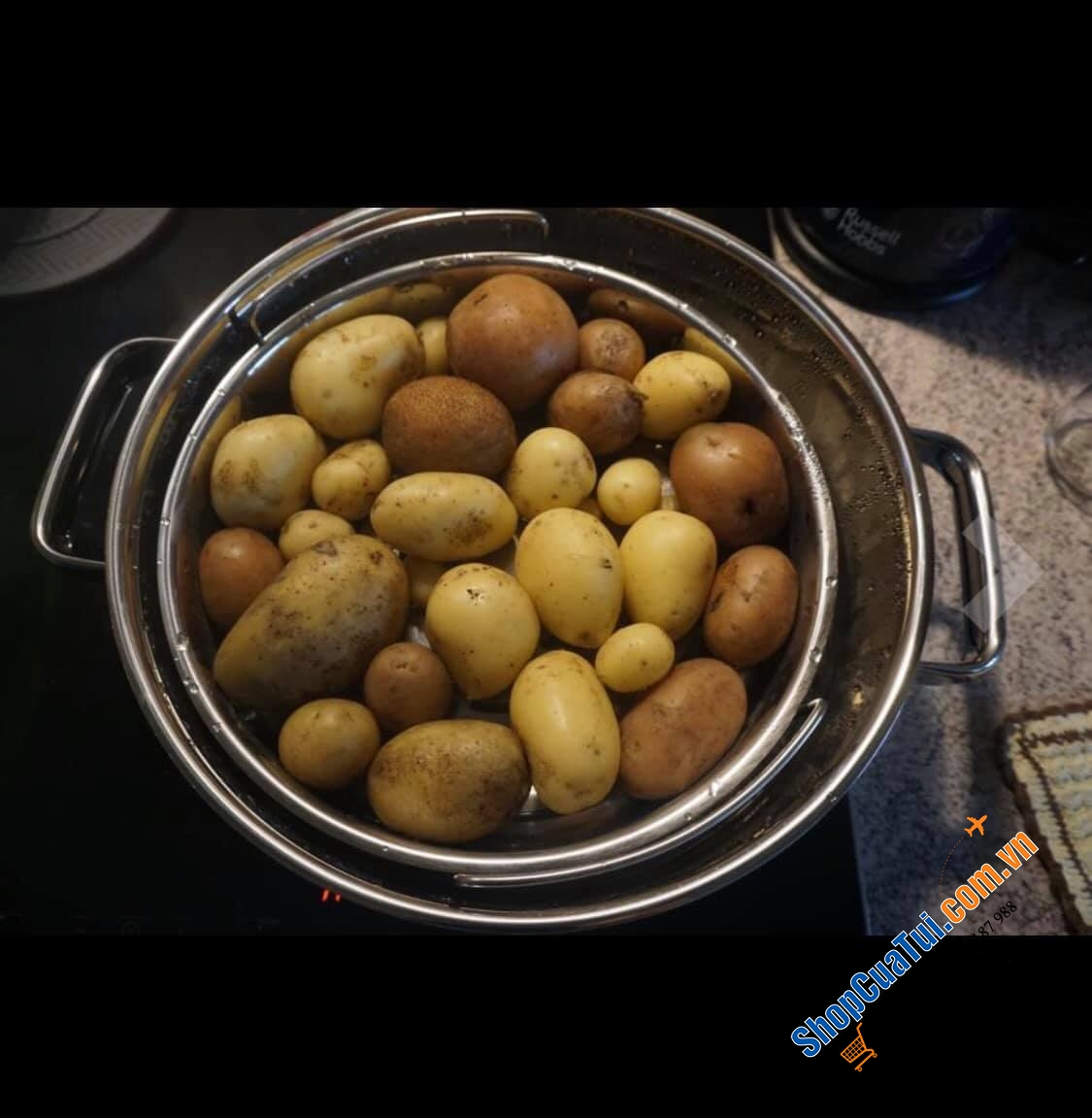 NỒI ĐA NĂNG - NỒI HẤP WMF DAMPFGARER VITALIS E 28cm