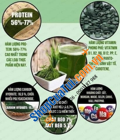 TẢO XOẮN HỮU CƠ LIỀU CAO CỦA Swisse High Strength Organic Spirulina 1000mg LỌ 200 VIÊN - một siêu thực phẩm xanh cung cấp nguồn vitamin, khoáng chất và chất chống oxy hóa tự nhiên