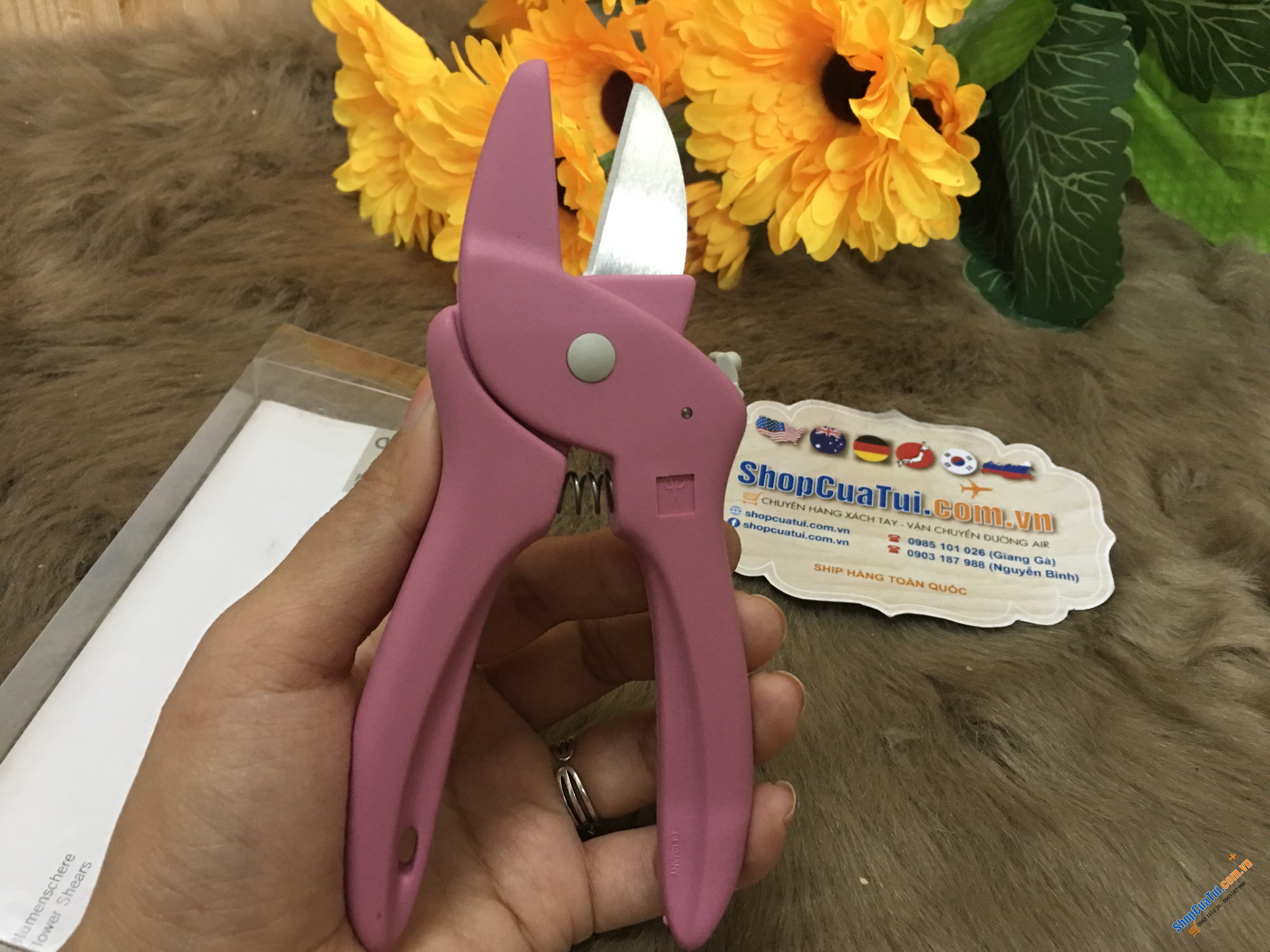 KÉO CẮT HOA - TỈA CÀNH HOA CHUYÊN NGHIỆP PAUL 1886 - MADE IN GERMANY