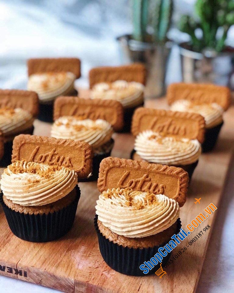 BÁNH QUY LOTUS BISCOFF - HỘP 300 CÁI