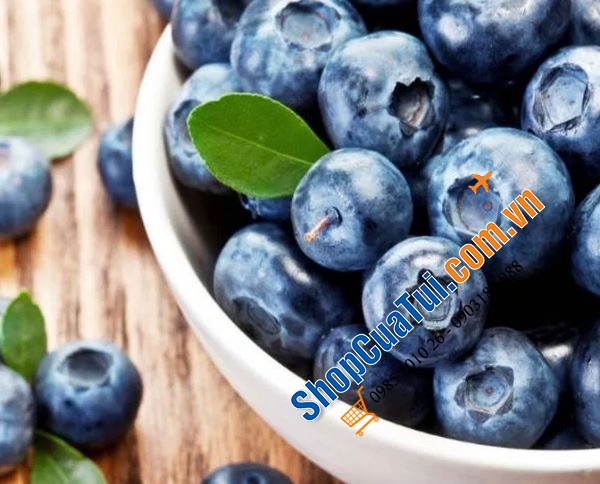 Quả việt quất sấy khô Kirkland Signature Whole Dried Blueberries 567g