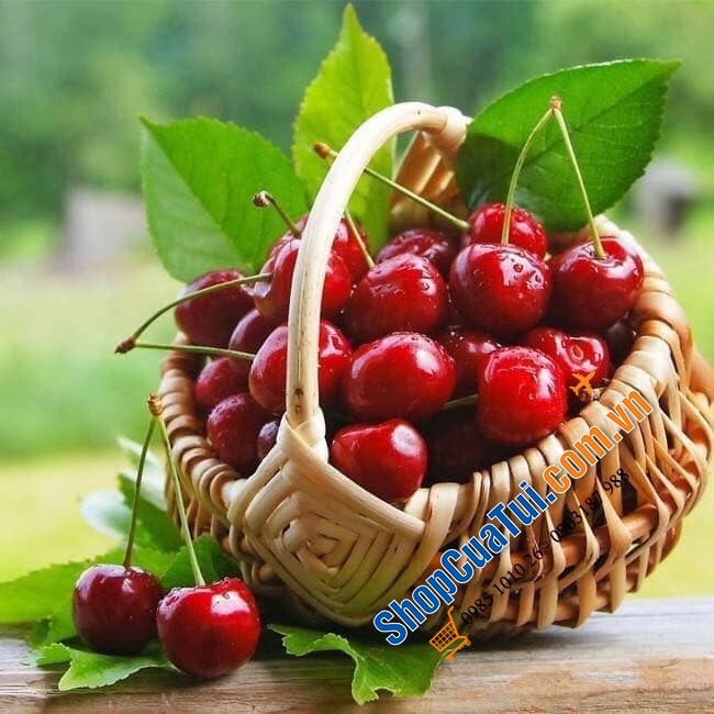 Cherry Sấy Khô Kirkland Signature Tart Montmorency Cherries (567g) - Xuất xứ: Mỹ