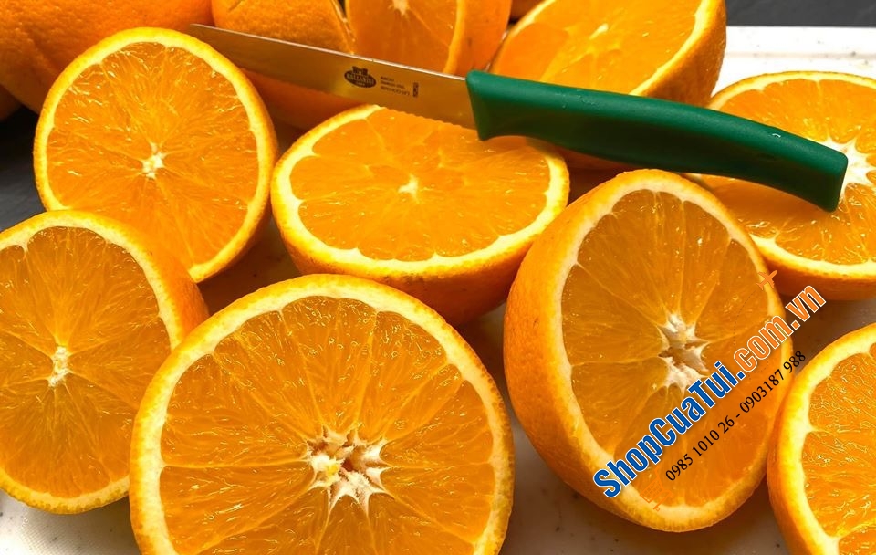 DAO RĂNG CƯA CÓ NẮP ĐẬY BALLARINI ZWILLING