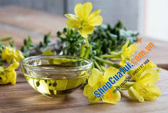 Tinh dầu hoa anh thảo của Đức hàm lượng 500mg - hộp 200 viên.