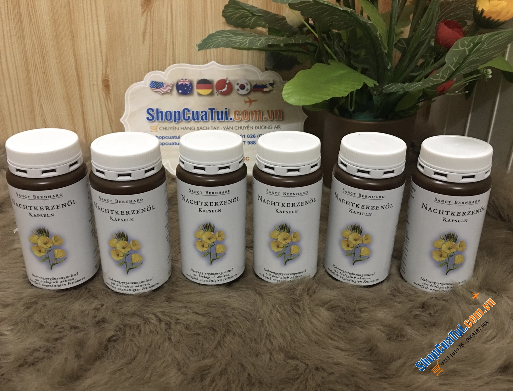 Tinh dầu hoa anh thảo của Đức hàm lượng 500mg - hộp 200 viên.