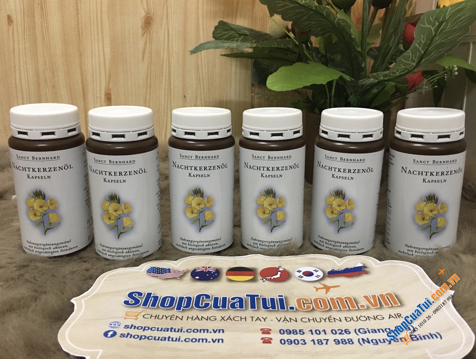 Tinh dầu hoa anh thảo của Đức hàm lượng 500mg - hộp 200 viên.