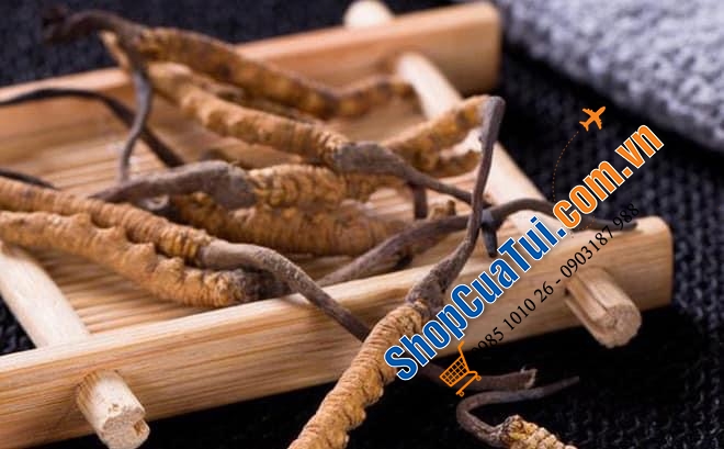 Đông trùng hạ thảo của Đức Cordyceps Cs-4  Của Hãng Zein Pharma -  made in Germany.