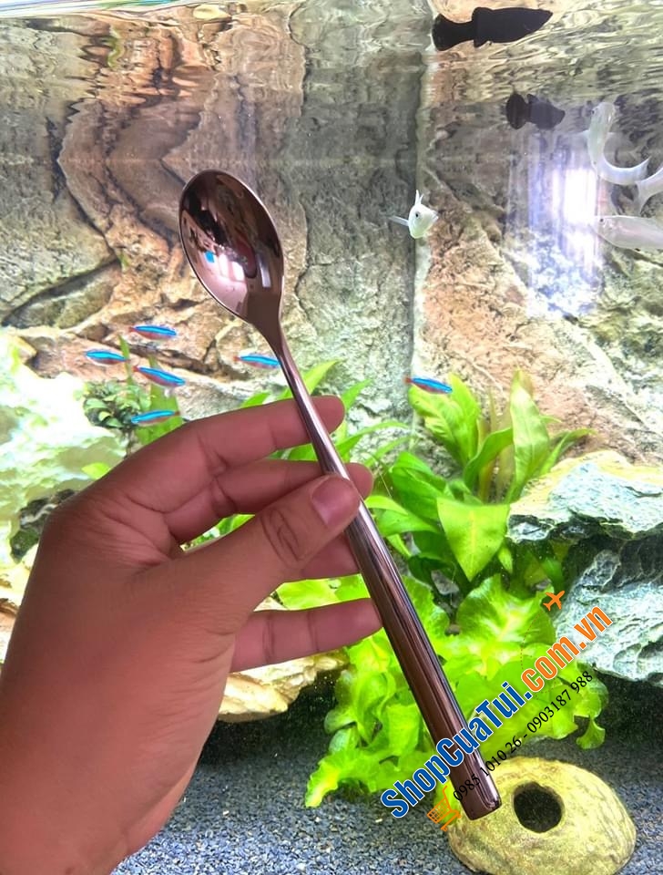 SET 6 THÌA CÁN DÀI WMF 21 cm.