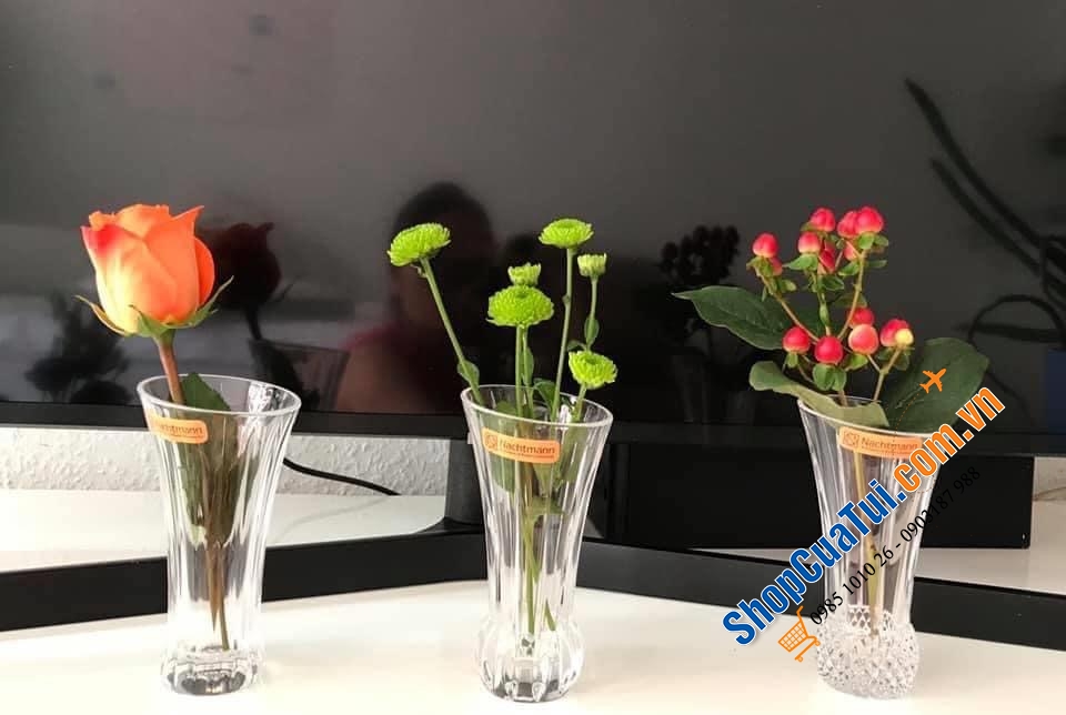 SET 3 LỌ HOA MINI ĐỂ BÀN NACHTMANN 103242 - pha lê cao cấp của Đức, cho ánh sáng tự nhiên và sự hiện diện tuyệt vời của hoa