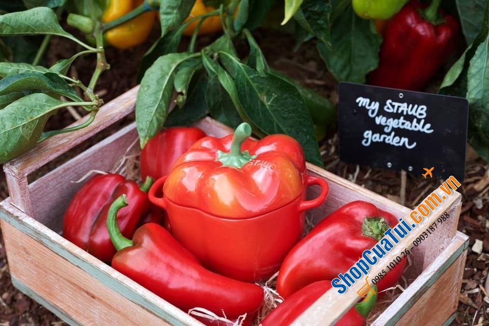 Set 5 thố sứ củ quả Staub, Combo 5 âu sứ Staub:  Âu ớt chuông đỏ và vàng Staub , Âu cà chua, Âu bí Ngô  staub, âu atiso - đựng bánh, kẹo mứt... đựng soup, đồ ăn bỏ lò, hầm ... nhất là món tôm phủ pho mai thì gọi là quá đỉnh