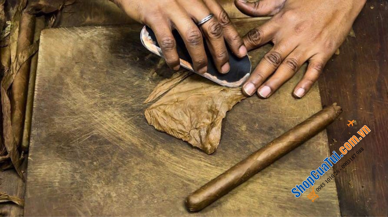 HỘP CIGAR 50 ĐIẾU Meiner 20er - Xì Gà HÚT THƠM HAY BIẾU CŨNG RẤT SANG CHẢNH