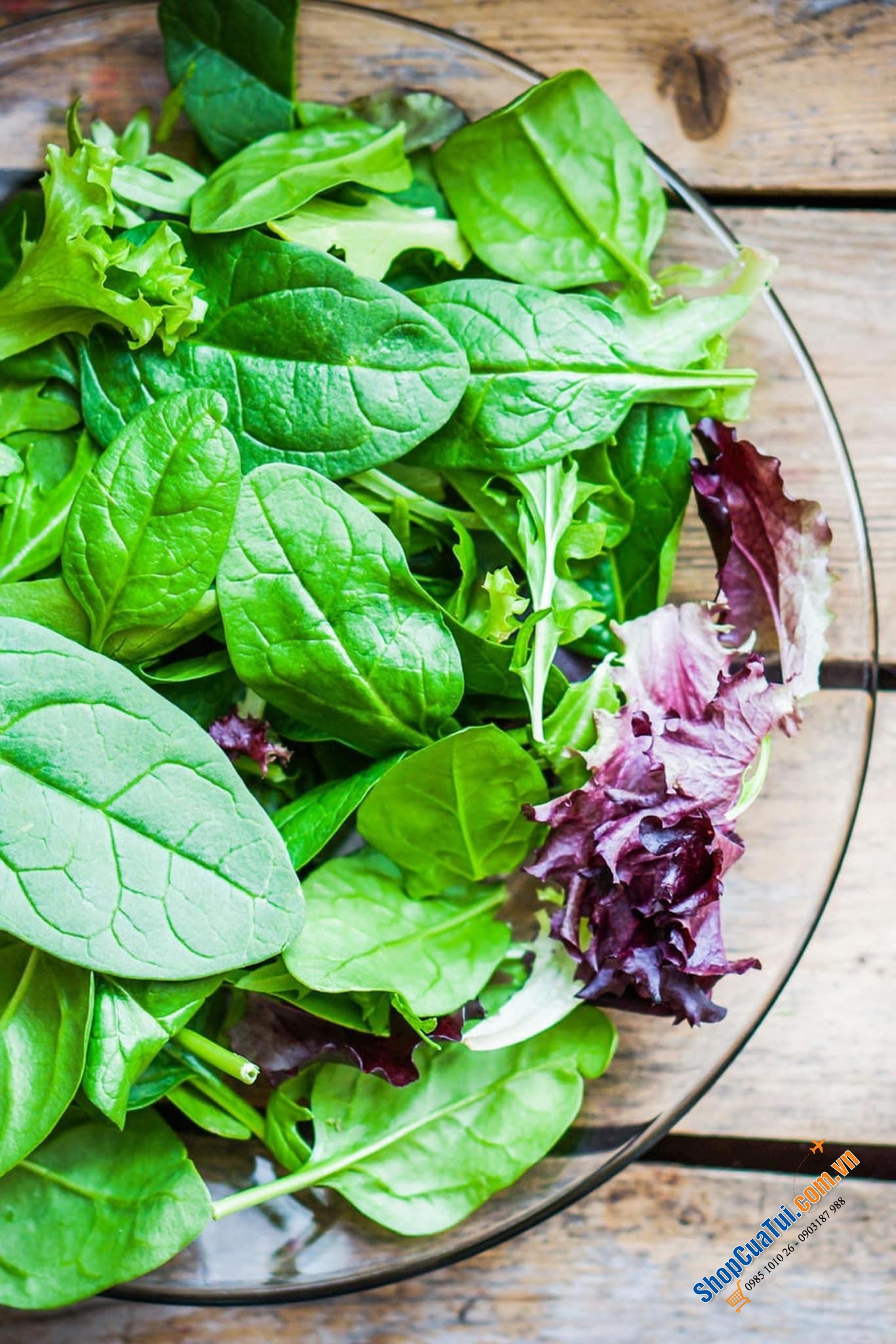 RỔ QUAY KHÔ RAU ERNESTO Kích thước 25x25x15,5 cm. Dung tích 4 lít