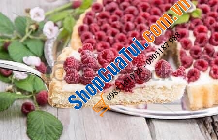 XẺNG XÚC BÁNH NGỌT, PIZZA, THỨC ĂN ZWILLING - MẪU CÁN VÂN