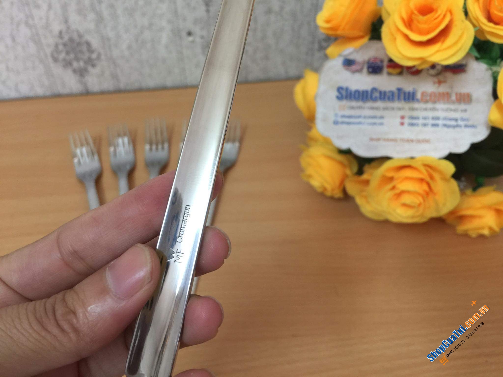 DĨA TO WMF - SET 6 - 21cm