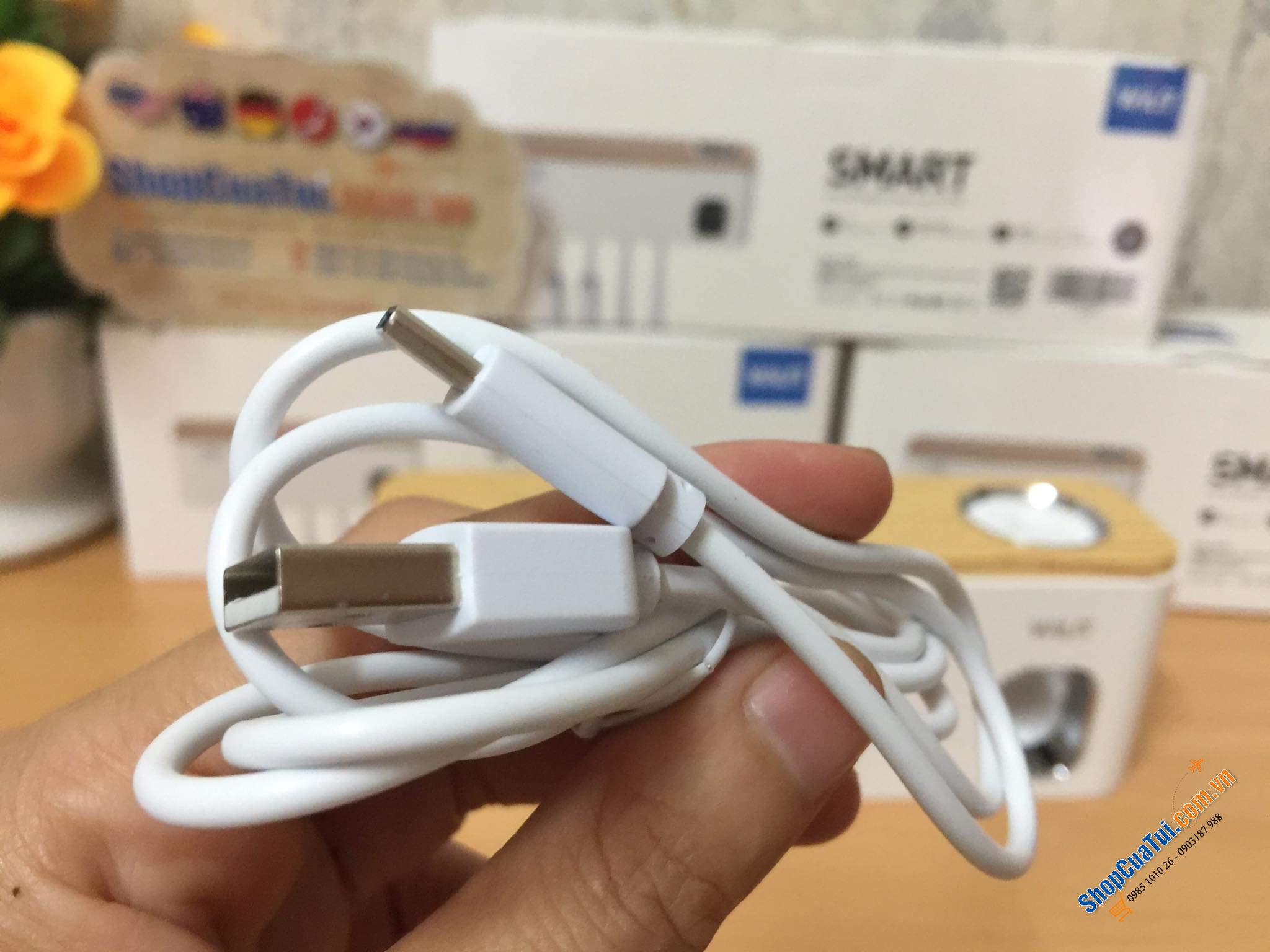 Máy tiệt trùng bàn chải đánh răng thông minh WILIT.