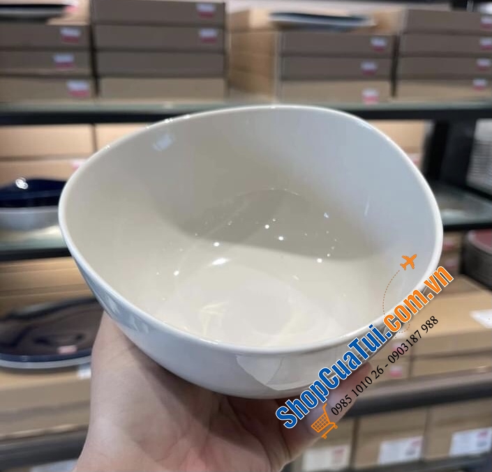 Set đôi bát ăn phở - Salat Villeroy Boch Like.