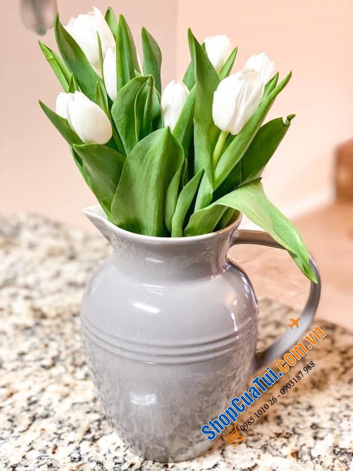 HŨ LE CREUSET CÓ TAY CẦM 1l
