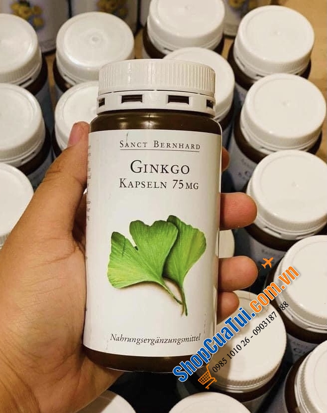 Thuốc Bổ Não Sanct Bernhard Ginkgo Kapseln 75mg, 240 Viên của Đức