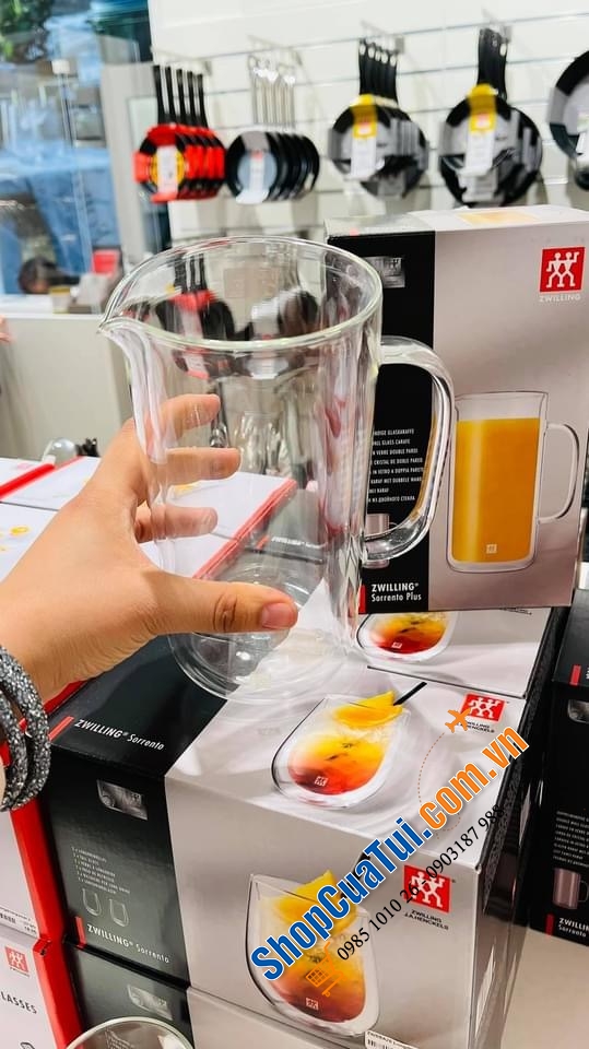 BÌNH THUỶ TINH CÁCH NHIỆT 2 LỚP ZWILLING SORRENTO PLUS 0,8 LIT. - bình thuỷ tinh 2 thành