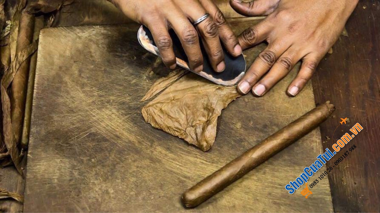 Xì gà Meine 50er Sumatra - Hộp Cigar 50 điếu